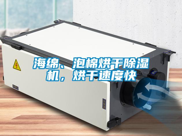 海綿、泡棉烘干除濕機，烘干速度快