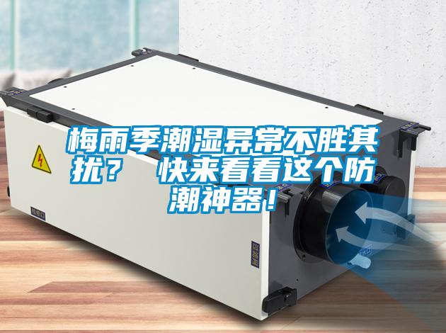 梅雨季潮濕異常不勝其擾？ 快來看看這個(gè)防潮神器！