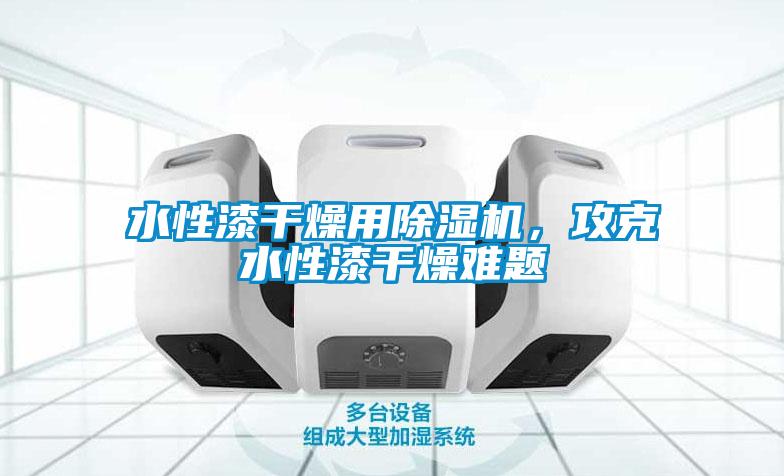 水性漆干燥用除濕機(jī),攻克水性漆干燥難題