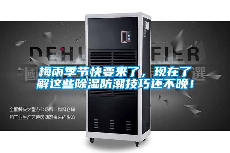 梅雨季節快要來了，現在了解這些除濕防潮技巧還不晚！