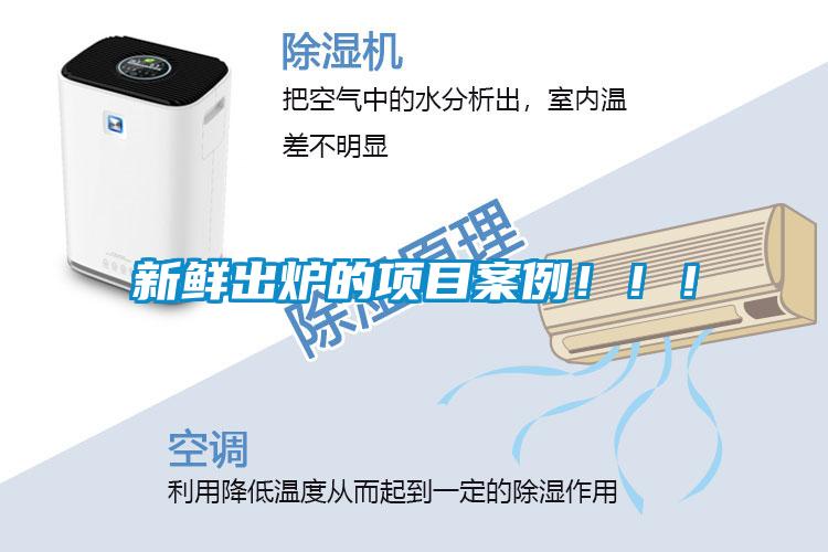 新鮮出爐的項目案例！！！