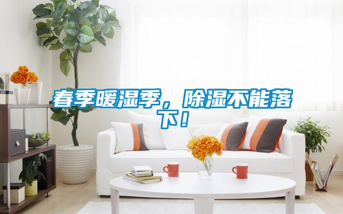 春季暖濕季，除濕不能落下！