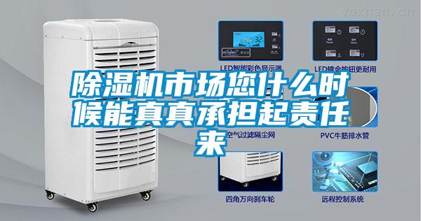 除濕機市場您什么時候能真真承擔起責(zé)任來