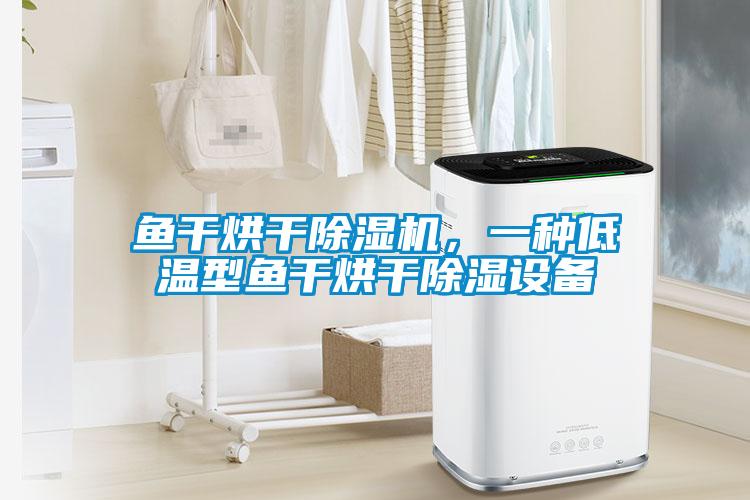 魚干烘干除濕機(jī)，一種低溫型魚干烘干除濕設(shè)備