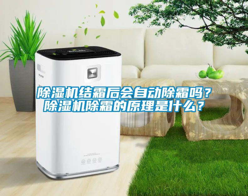 除濕機結霜后會自動除霜嗎？除濕機除霜的原理是什么？