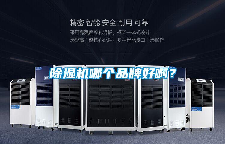 除濕機哪個品牌好啊?
