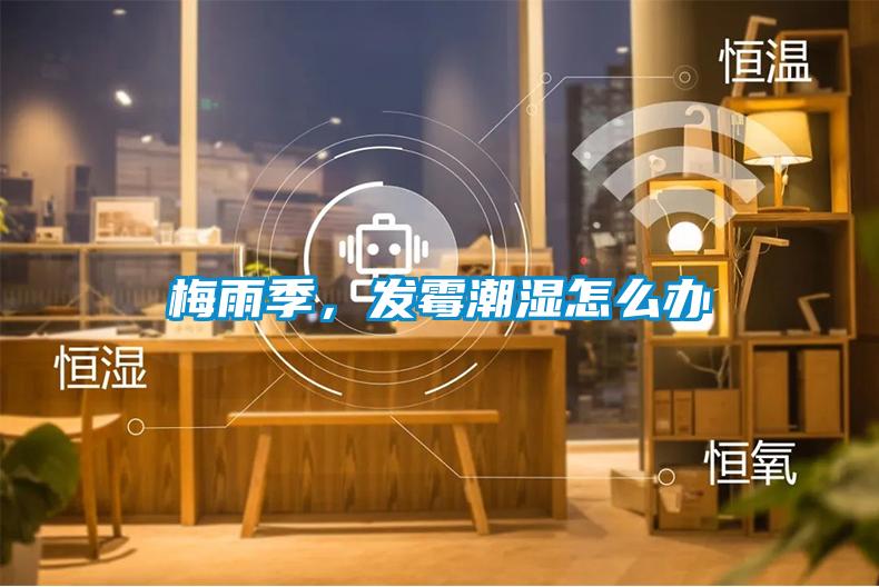 梅雨季，發霉潮濕怎么辦