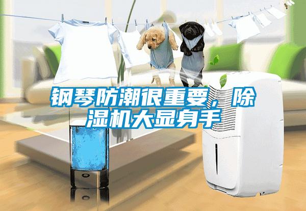 鋼琴防潮很重要，除濕機大顯身手