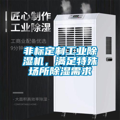 非標定制工業除濕機，滿足特殊場所除濕需求