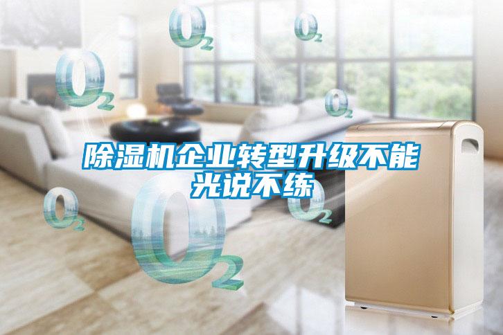 除濕機(jī)企業(yè)轉(zhuǎn)型升級(jí)不能光說不練
