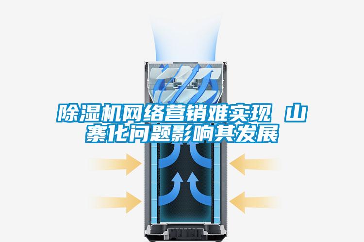 除濕機(jī)網(wǎng)絡(luò)營(yíng)銷(xiāo)難實(shí)現(xiàn) 山寨化問(wèn)題影響其發(fā)展