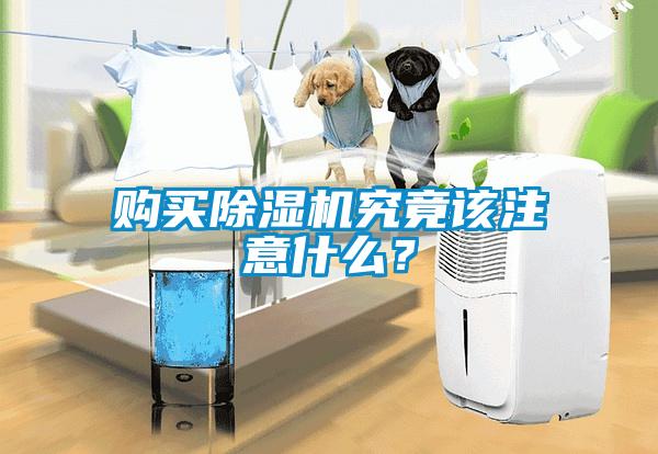 購買除濕機究竟該注意什么？