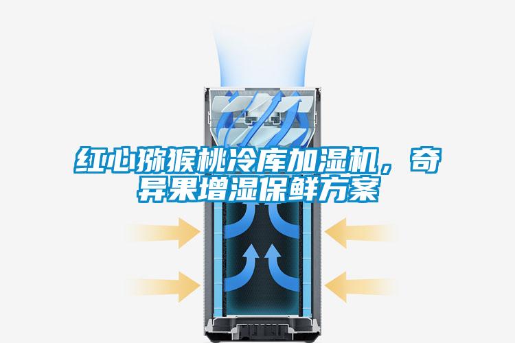 紅心獼猴桃冷庫加濕機，奇異果增濕保鮮方案