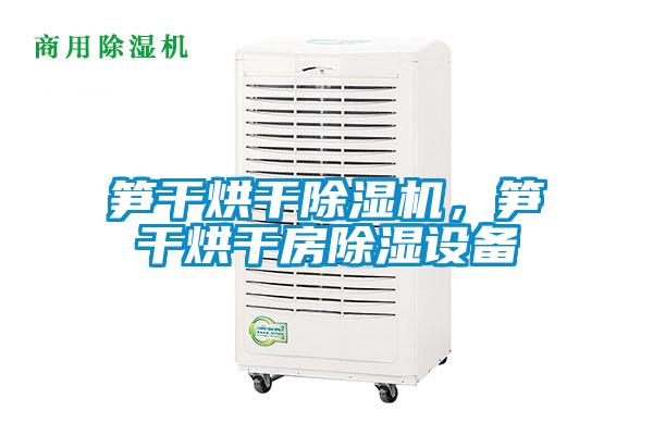 筍干烘干除濕機，筍干烘干房除濕設備