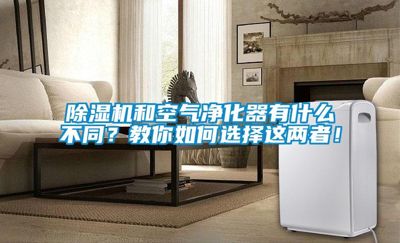 除濕機和空氣凈化器有什么不同？教你如何選擇這兩者！