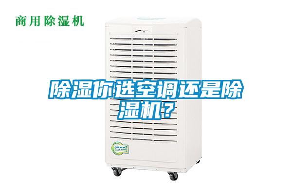 除濕你選空調(diào)還是除濕機(jī)？