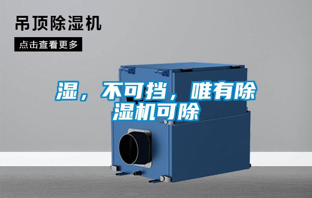 濕，不可擋，唯有除濕機(jī)可除