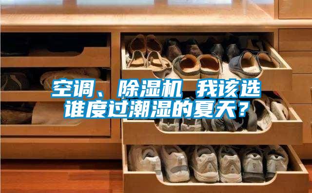 空調、除濕機 我該選誰度過潮濕的夏天？