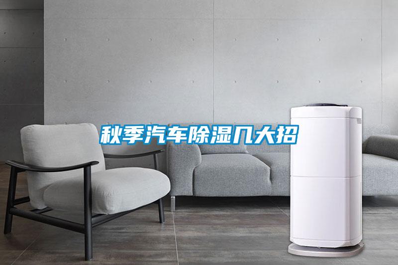 秋季汽車(chē)除濕幾大招