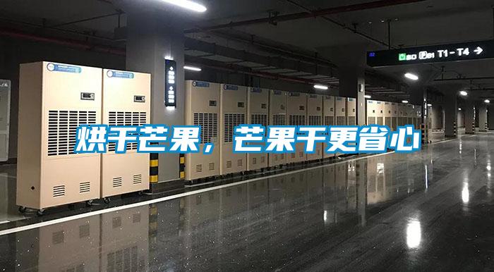 烘干芒果，芒果干更省心