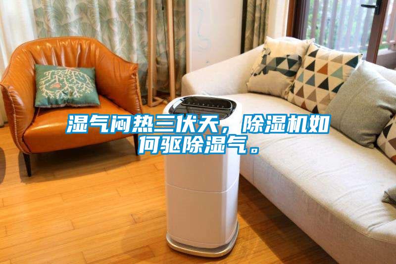 濕氣悶熱三伏天，除濕機如何驅除濕氣。