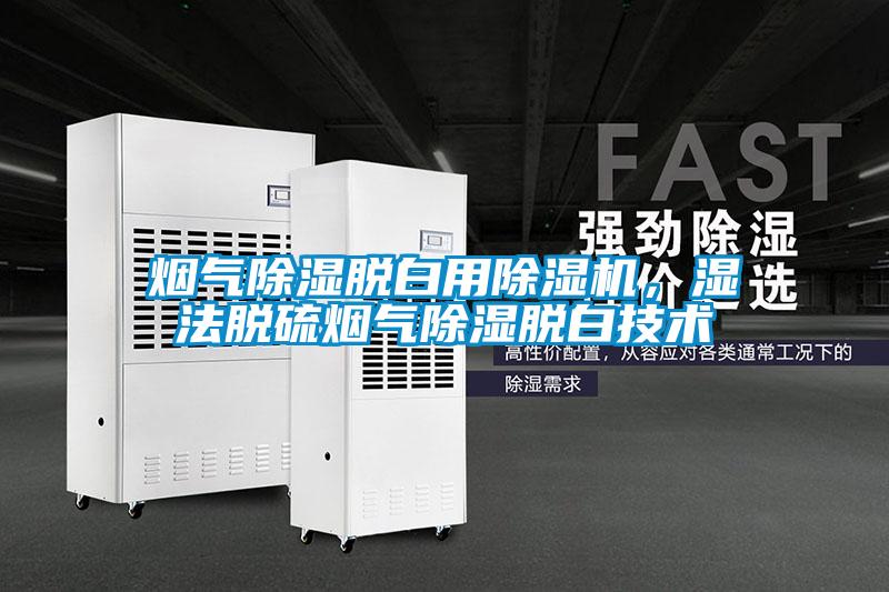 煙氣除濕脫白用除濕機，濕法脫硫煙氣除濕脫白技術