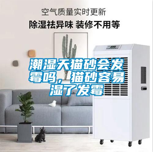 潮濕天貓砂會發(fā)霉嗎，貓砂容易濕了發(fā)霉