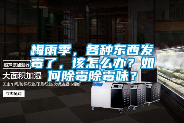梅雨季，各種東西發霉了，該怎么辦？如何除霉除霉味？