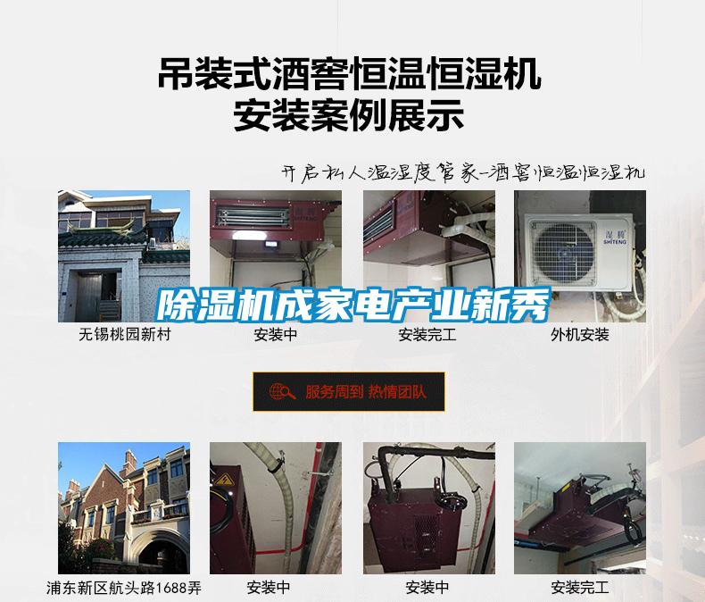 除濕機成家電產業(yè)新秀