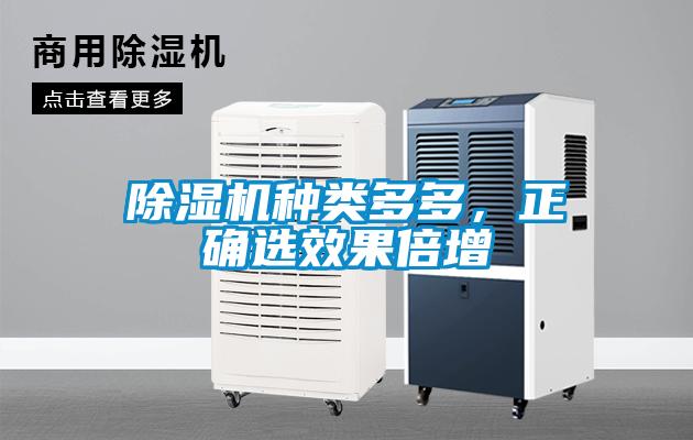 除濕機種類多多，正確選效果倍增