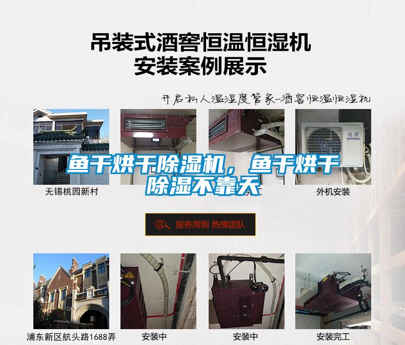 魚干烘干除濕機，魚干烘干除濕不靠天