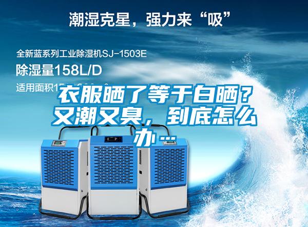 衣服曬了等于白曬？又潮又臭，到底怎么辦…
