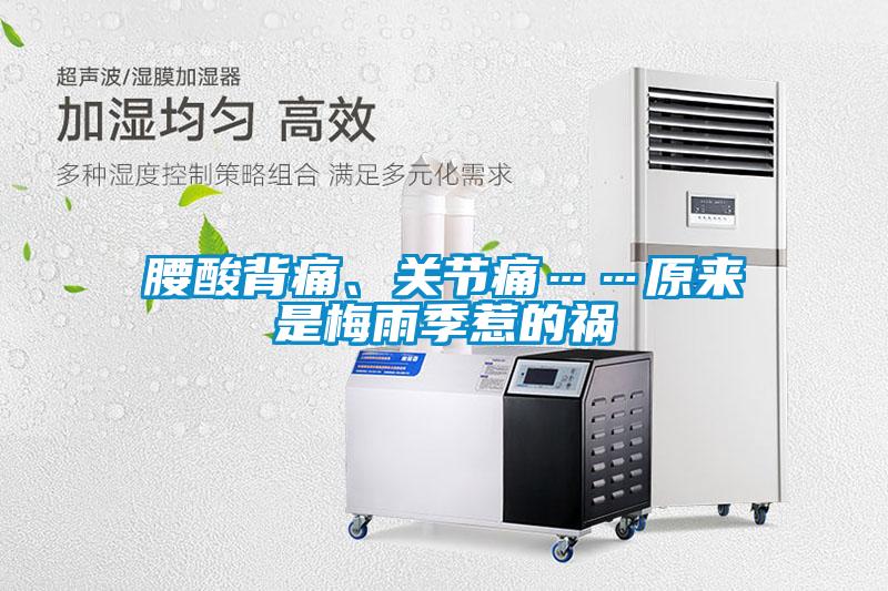 腰酸背痛、關節痛……原來是梅雨季惹的禍