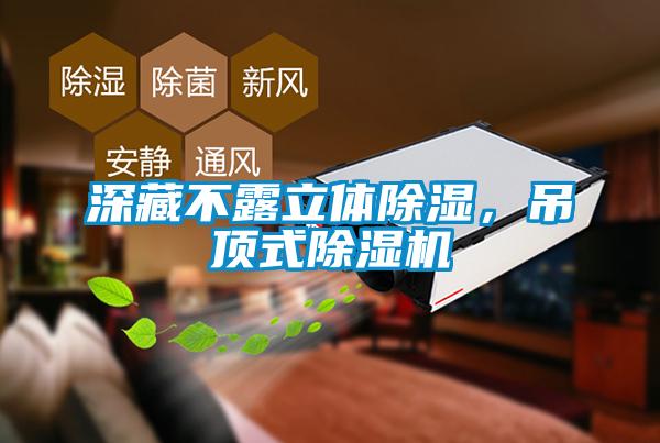 深藏不露立體除濕，吊頂式除濕機