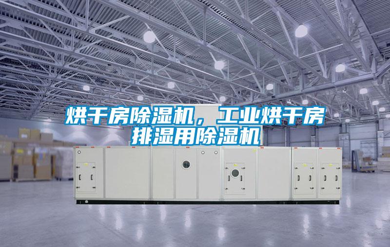 烘干房除濕機，工業烘干房排濕用除濕機