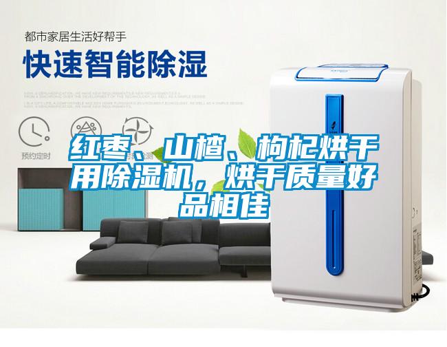 紅棗、山楂、枸杞烘干用除濕機，烘干質量好品相佳