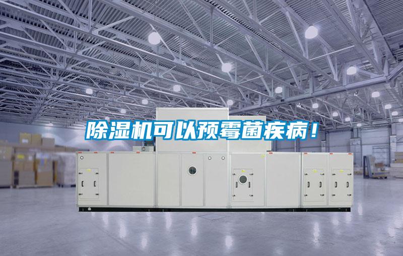 除濕機可以預霉菌疾??！
