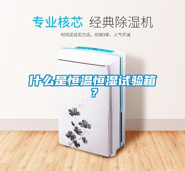 什么是恒溫恒濕試驗(yàn)箱？