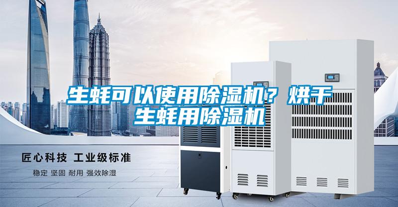 生蠔可以使用除濕機？烘干生蠔用除濕機