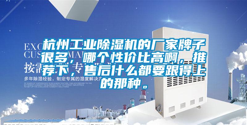 杭州工業(yè)除濕機(jī)的廠家牌子很多，哪個(gè)性?xún)r(jià)比高啊，推薦下，售后什么都要跟得上的那種。