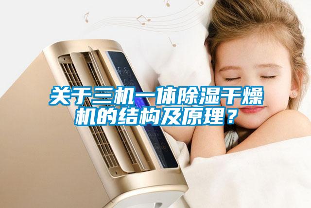 關(guān)于三機(jī)一體除濕干燥機(jī)的結(jié)構(gòu)及原理？
