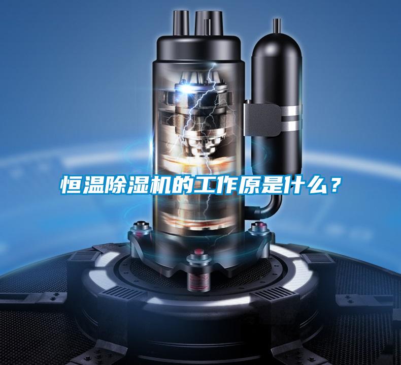 恒溫除濕機的工作原是什么？