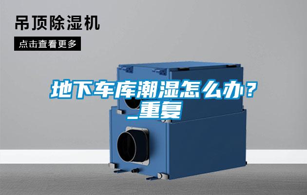 地下車庫潮濕怎么辦？_重復