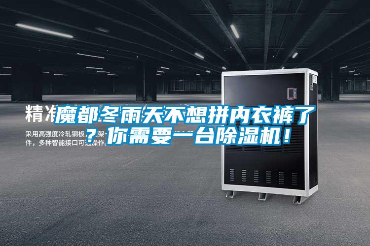 魔都冬雨天不想拼內(nèi)衣褲了?你需要一臺(tái)除濕機(jī)!