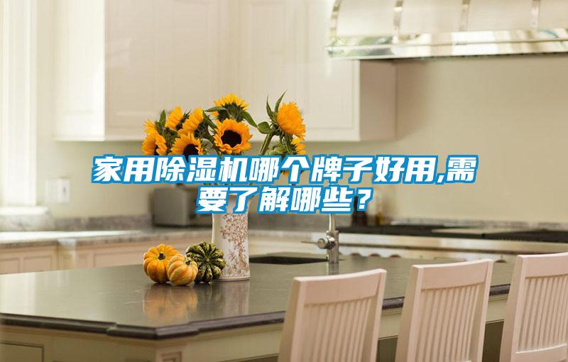 家用除濕機哪個牌子好用,需要了解哪些？
