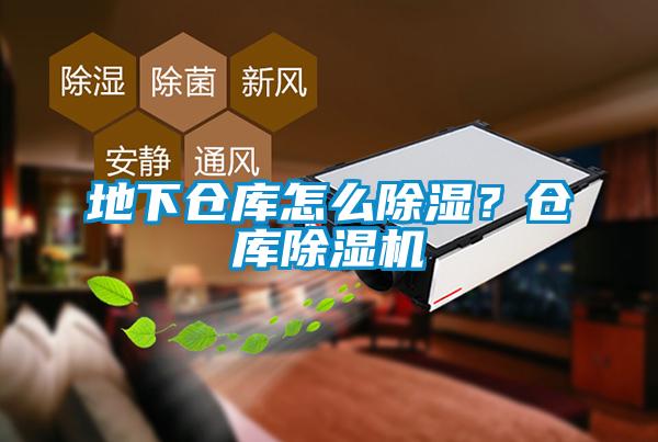 地下倉(cāng)庫(kù)怎么除濕？倉(cāng)庫(kù)除濕機(jī)