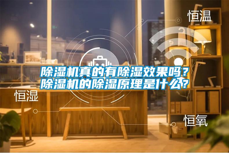除濕機(jī)真的有除濕效果嗎？除濕機(jī)的除濕原理是什么？