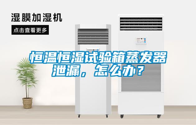 恒溫恒濕試驗(yàn)箱蒸發(fā)器泄漏，怎么辦？