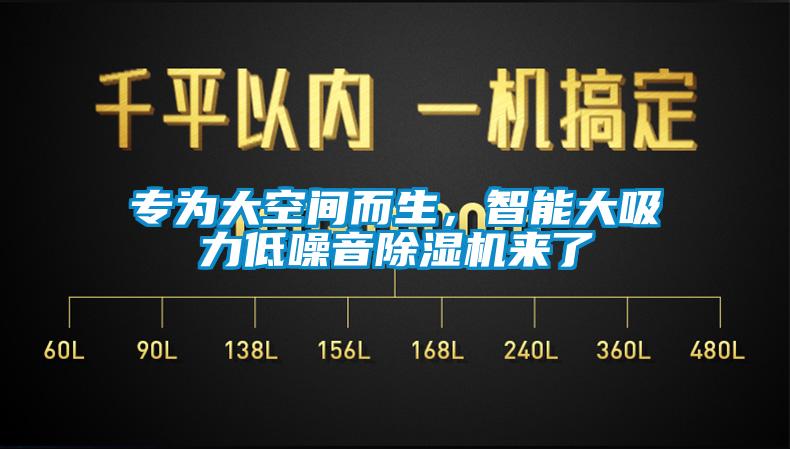 專為大空間而生，智能大吸力低噪音除濕機(jī)來了