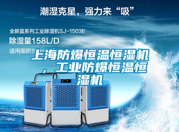 上海防爆恒溫恒濕機 ，工業防爆恒溫恒濕機